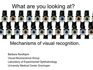 What are you looking at?




 Mechanisms of visual recognition.

Barbara Nordhjem
Visual Neuroscience Group
Laboratory of Experimental Ophthalmology
University Medical Center Groningen
 