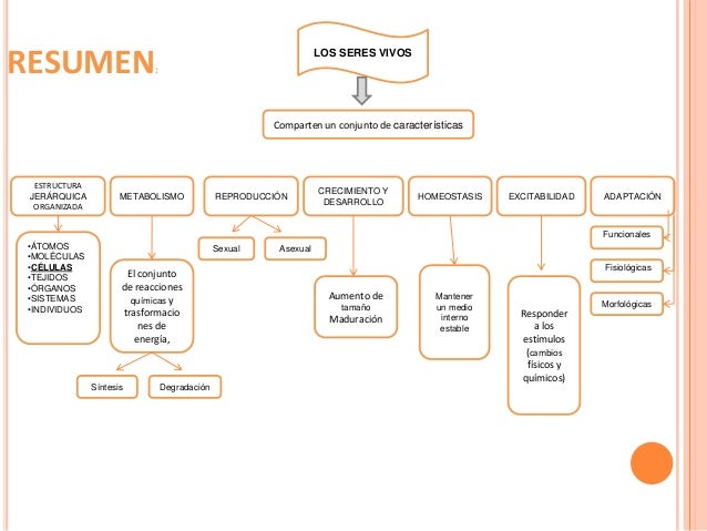 Caracteristicas de los seres vivos