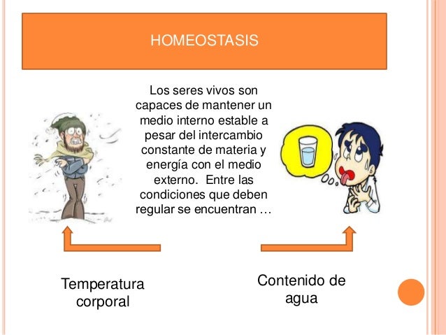 Caracteristicas de los seres vivos