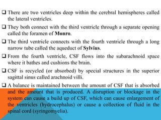  There are two ventricles deep within the cerebral hemispheres called
the lateral ventricles.
 They both connect with the third ventricle through a separate opening
called the foramen of Monro.
 The third ventricle connects with the fourth ventricle through a long
narrow tube called the aqueduct of Sylvius.
 From the fourth ventricle, CSF flows into the subarachnoid space
where it bathes and cushions the brain.
 CSF is recycled (or absorbed) by special structures in the superior
sagittal sinus called arachnoid villi.
 A balance is maintained between the amount of CSF that is absorbed
and the amount that is produced. A disruption or blockage in the
system can cause a build up of CSF, which can cause enlargement of
the ventricles (hydrocephalus) or cause a collection of fluid in the
spinal cord (syringomyelia).
 