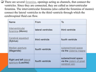  There are several foramina, openings acting as channels, that connect the
ventricles. Since they are connected, they are called as interventricular
foramina. The interventricular foramina (also called the foramina of monro)
connect the lateral ventricles to the third ventricle through which the
cerebrospinal fluid can flow.
Name From To
Interventricular
foramina (Monro)
lateral ventricles third ventricle
Cerebral aqueduct
(Sylvius)
third ventricle fourth ventricle
Median aperture
(Magendie)
fourth ventricle
subarachnoid space
via the cisterna magna
Right and left lateral
aperture (Luschka)
fourth ventricle
subarachnoid space
via the cistern of great
cerebral vein
 