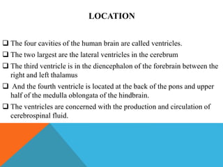 LOCATION
 The four cavities of the human brain are called ventricles.
 The two largest are the lateral ventricles in the cerebrum
 The third ventricle is in the diencephalon of the forebrain between the
right and left thalamus
 And the fourth ventricle is located at the back of the pons and upper
half of the medulla oblongata of the hindbrain.
 The ventricles are concerned with the production and circulation of
cerebrospinal fluid.
 