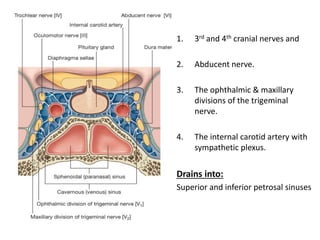 1. 3rd and 4th cranial nerves and
2. Abducent nerve.
3. The ophthalmic & maxillary
divisions of the trigeminal
nerve.
4. The internal carotid artery with
sympathetic plexus.
Drains into:
Superior and inferior petrosal sinuses
 