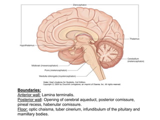 Boundaries:
Anterior wall: Lamina terminalis.
Posterior wall: Opening of cerebral aqueduct, posterior comissure,
pineal recess, habenular comissure.
Floor: optic chaisma, tuber cinerium, infundibulum of the pituitary and
mamillary bodies.
 