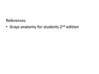 References
• Grays anatomy for students 2nd edition
 