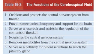 4th Ventricle and CSF circulation | PPTX