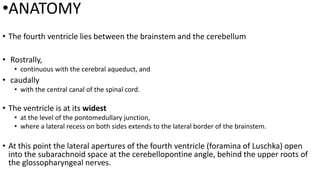 4th Ventricle and CSF circulation | PPTX