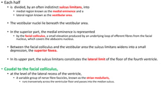4th Ventricle and CSF circulation | PPTX