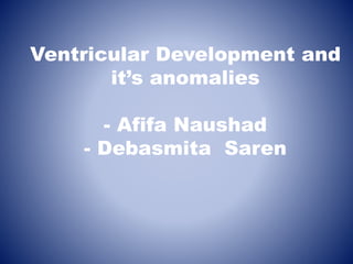 Ventricular Development and
it’s anomalies
- Afifa Naushad
- Debasmita Saren
 