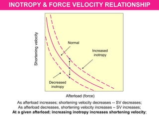 INOTROPY & FORCE VELOCITY RELATIONSHIP
Afterload (force)
Shorteningvelocity
Normal
Decreased
inotropy
Increased
inotropy
As afterload increases; shortening velocity decreases -- SV decreases;
As afterload decreases, shortening velocity increases – SV increases;
At a given afterload; increasing inotropy increases shortening velocity;
 