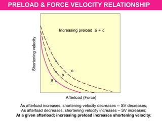 Shorteningvelocity
Afterload (Force)
Increasing preload a c
a
b
c
PRELOAD & FORCE VELOCITY RELATIONSHIP
As afterload increases; shortening velocity decreases -- SV decreases;
As afterload decreases, shortening velocity increases – SV increases;
At a given afterload; increasing preload increases shortening velocity;
 
