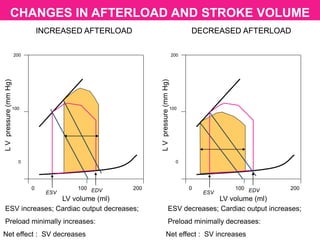CHANGES IN AFTERLOAD AND STROKE VOLUME
LV volume (ml)
LVpressure(mmHg)
200
100
0
0 100 200
ESV EDV
LV volume (ml)
LVpressure(mmHg)
200
100
0
0 100 200
ESV EDV
INCREASED AFTERLOAD DECREASED AFTERLOADINCREASED AFTERLOAD DECREASED AFTERLOAD
ESV increases; Cardiac output decreases;
Preload minimally increases:
Net effect : SV decreases
ESV decreases; Cardiac output increases;
Preload minimally decreases:
Net effect : SV increases
 