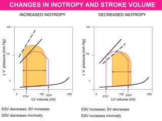 CHANGES IN INOTROPY AND STROKE VOLUME
LV volume (ml)
LVpressure(mmHg)
200
100
0
0 100 200
ESV EDV
LV volume (ml)
LVpressure(mmHg)
200
100
0
0 100 200
ESV EDV
INCREASED INOTROPY DECREASED INOTROPY
ESV increases; SV decreases
EDV increases minimally
ESV decreases; SV increases
EDV decreases minimally
 