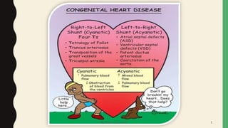 By: Shayan Fatima Azad 2
 