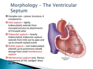 Ventricular septal defect | PPTX