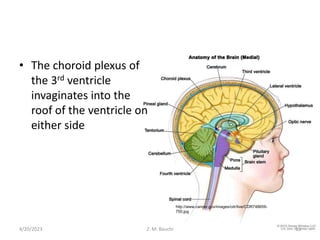 • The choroid plexus of
the 3rd ventricle
invaginates into the
roof of the ventricle on
either side
4/20/2023 13
Z. M. Bauchi
http://www.cancer.gov/images/cdr/live/CDR748659-
750.jpg
 