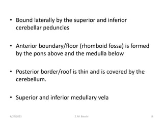 • Bound laterally by the superior and inferior
cerebellar peduncles
• Anterior boundary/floor (rhomboid fossa) is formed
by the pons above and the medulla below
• Posterior border/roof is thin and is covered by the
cerebellum.
• Superior and inferior medullary vela
4/20/2023 16
Z. M. Bauchi
 
