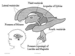 4/20/2023 18
Z. M. Bauchi
 