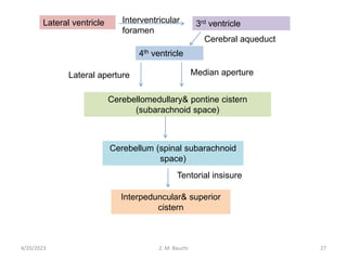 Lateral ventricle 3rd ventricle
4th ventricle
Cerebellomedullary& pontine cistern
(subarachnoid space)
Cerebellum (spinal subarachnoid
space)
Interpeduncular& superior
cistern
Cerebral aqueduct
Median aperture
Lateral aperture
Tentorial insisure
Interventricular
foramen
4/20/2023 27
Z. M. Bauchi
 
