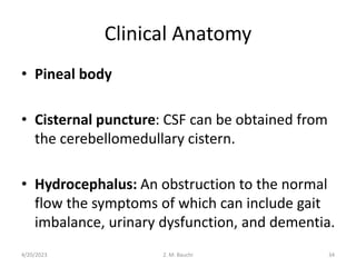 Clinical Anatomy
• Pineal body
• Cisternal puncture: CSF can be obtained from
the cerebellomedullary cistern.
• Hydrocephalus: An obstruction to the normal
flow the symptoms of which can include gait
imbalance, urinary dysfunction, and dementia.
4/20/2023 34
Z. M. Bauchi
 