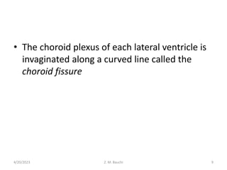 • The choroid plexus of each lateral ventricle is
invaginated along a curved line called the
choroid fissure
4/20/2023 9
Z. M. Bauchi
 