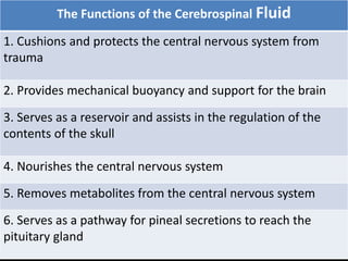 Ventricular System_CSF_BBB_and_BCB.pptx