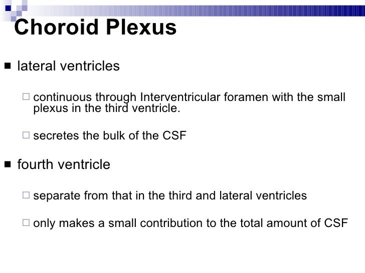 Brain Stem Ppt Video Online Download