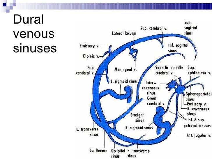 cavernous sinus thrombosis