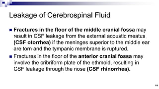 Ventricular system of the brain | PPTX