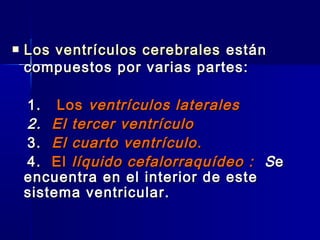    Los ventrículos cerebrales están
    compuestos por varias partes:

    1. Los ventrículos laterales
    2. El tercer ventrículo
    3. El cuarto ventrículo .
    4. El líquido cefalorraquídeo : S e
    encuentra en el interior de este
    sistema ventricular.
 