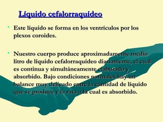 Líquido cefalorraquídeo
• Este líquido se forma en los ventrículos por los
  plexos coroides.

• Nuestro cuerpo produce aproximadamente medio
  litro de líquido cefalorraquídeo diariamente, el cual
  es continua y simultáneamente elaborado y
  absorbido. Bajo condiciones normales hay un
  balance muy delicado entre la cantidad de líquido
  que se produce y la rata a la cual es absorbido.
 