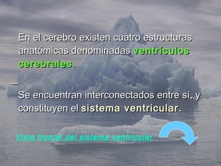 En el cerebro existen cuatro estructuras
anatómicas denominadas ventrículos
cerebrales .


Se encuentran interconectados entre sí, y
constituyen el sistema ventricular .

Vista frontal del sistema ventricular
 
