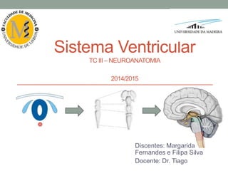Sistema Ventricular
TC III – NEUROANATOMIA
2014/2015
Discentes: Margarida
Fernandes e Filipa Silva
Docente: Dr. Tiago
 