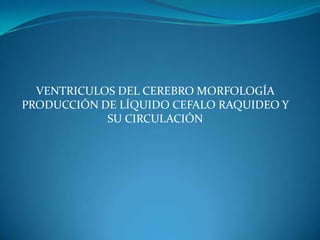 VENTRICULOS DEL CEREBRO MORFOLOGÍA
PRODUCCIÓN DE LÍQUIDO CEFALO RAQUIDEO Y
SU CIRCULACIÓN
 