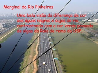 Marginal do Rio Pinheiros Uma bela visão da diferença de cor das águas negras e sujas do rio, contrastando com a cor verde povoada de algas da Raia de remo da USP.   