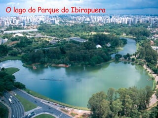 O lago do Parque do Ibirapuera 