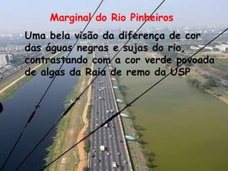 Marginal do Rio PinheirosUma bela visão da diferença de cordas águas negras e sujas do rio,contrastando com a cor verde povoadade algas da Raia de remo da USP