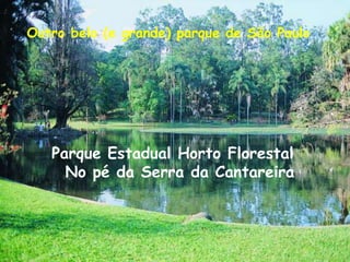 Outro belo (e grande) parque de São PauloParque Estadual Horto Florestal  No pé da Serra da Cantareira