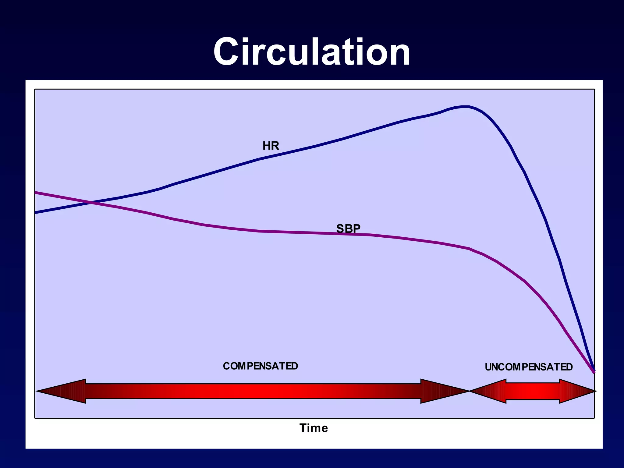 Circulation 