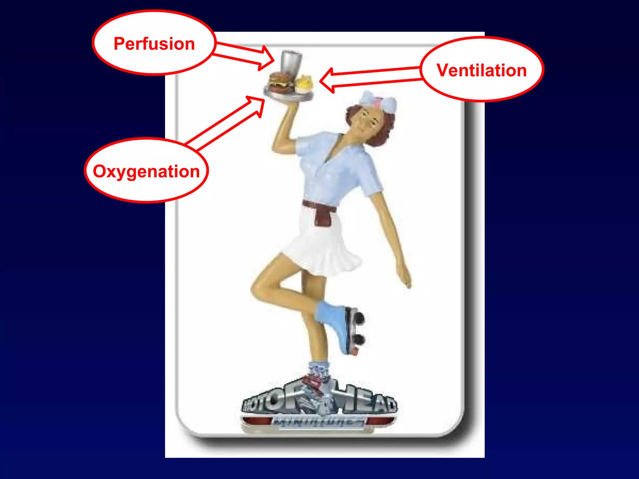 Oxygenation Ventilation Perfusion 