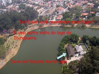 Será que você reconhece esse lugar?

 É uma outra vista do lago do
 Ibirapuera.




Deve ser bacana morar aqui.
 