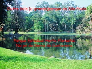 Outro belo (e grande)parque de São Paulo.




   Parque Estadual Horto Florestal.
    No pé da Serra da Cantareira.
 