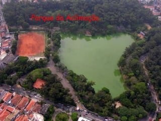 Parque da Aclimação.
 