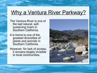 Why a Ventura River Parkway? The Ventura River is one of the last natural, self-sustaining rivers in Southern California. It is home to one of the greatest diversities of plants and animals in Southern California. However, for lack of access, it remains largely invisible to local communities.  