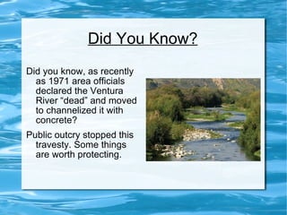 Did You Know? Did you know, as recently as 1971 area officials declared the Ventura River “dead” and moved to channelized it with concrete? Public outcry stopped this travesty. Some things are worth protecting. 