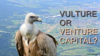 Venture Capital 101 - The Perfect Package