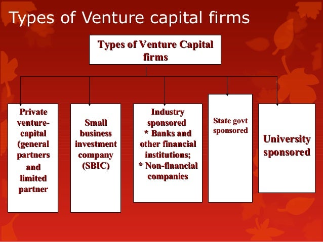 venture capital firm organizational structure