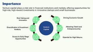Venture Risk Venture Capital _20240412_093727_0000.pdf