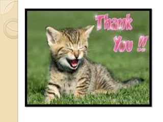 It is placed at the beginningIt is vital to give this summary significant thought and time as it may well determine the amount of consideration the venture capital investor will give to the detailed proposal