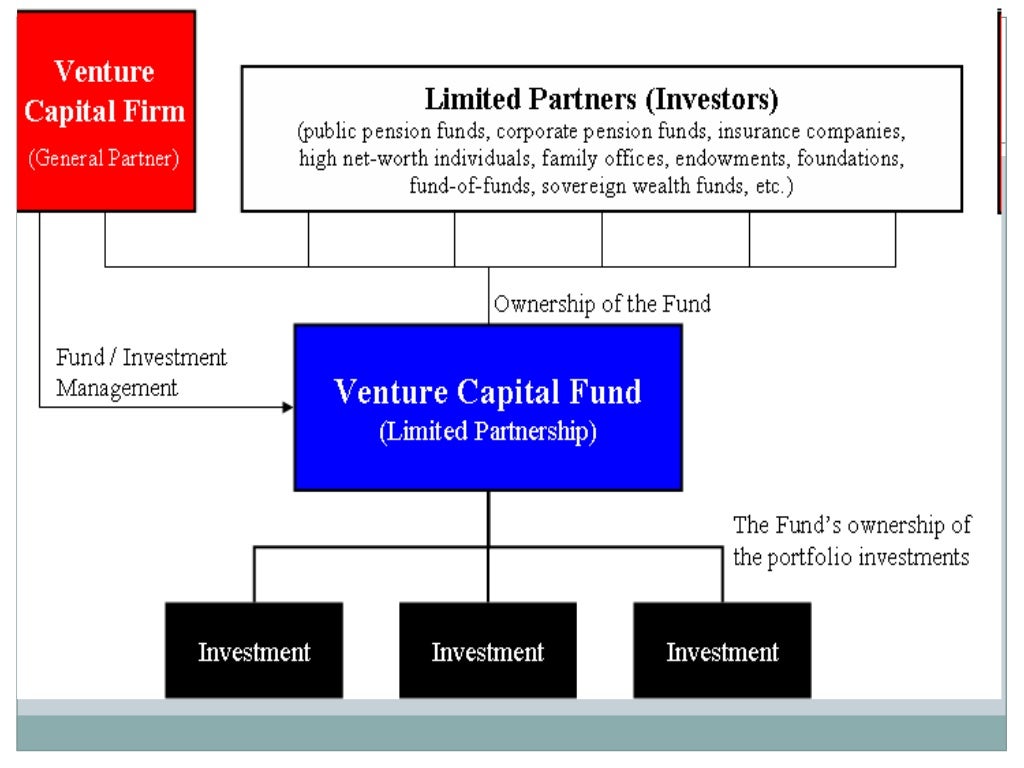 venture capital firm organizational structure